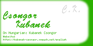 csongor kubanek business card